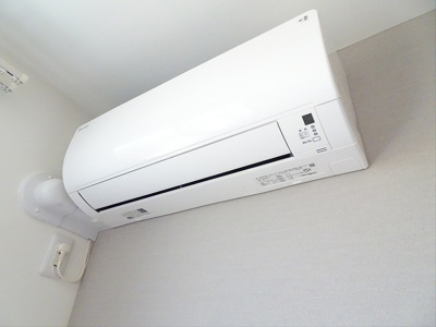 【その他】 | ガット・ネーロ