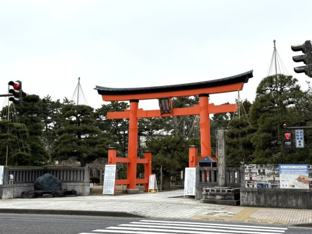 トーカンマンション医学町　6Fの周辺|新潟総鎮守 白山神社まで約400ｍ（徒歩3分）