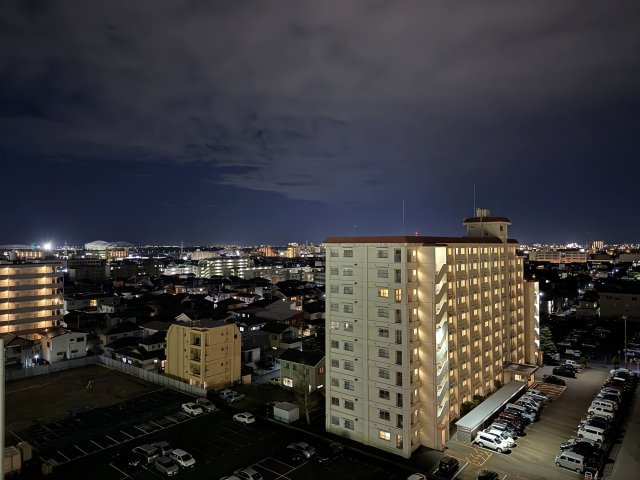 エイルマンション新潟駅南ロゼアの展望