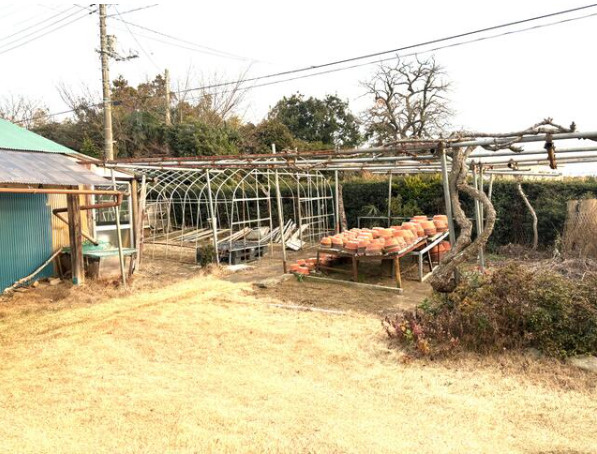 野田市木野崎　中古戸建　平成4年築　の庭