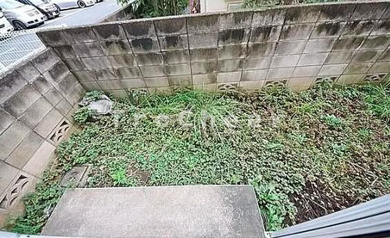 ドレミファ荘の庭