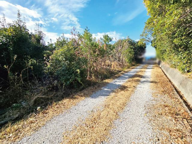 夜須町手結山　売土地の前面道路含む現地写真|前面道路含む現地写真です