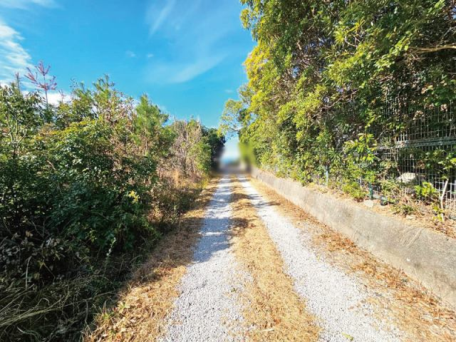 夜須町手結山　売土地の前面道路含む現地写真|前面道路含む現地写真です