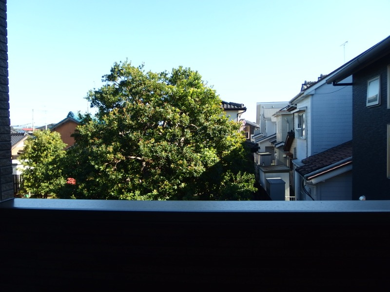 フェリシティ中園の展望