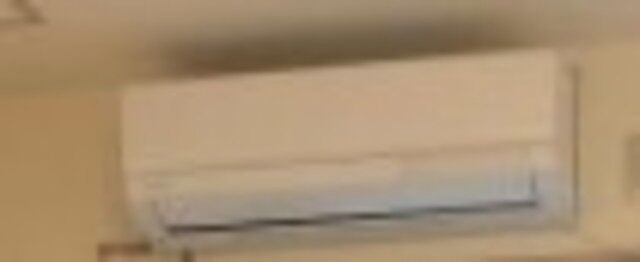 デリスのその他