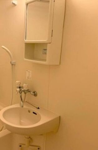 デリスの洗面所