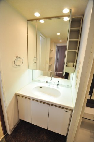 大阪市都島区毛馬町２丁目の賃貸マンションの洗面所