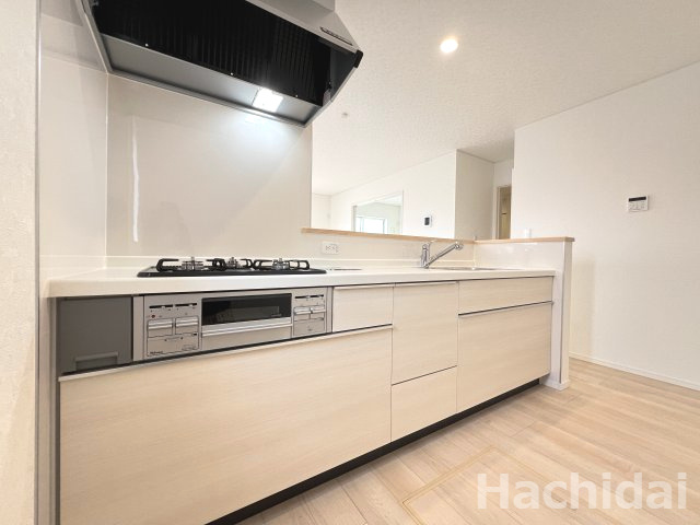 碧南市神有町第2　新築一戸建＜3号棟＞のキッチン