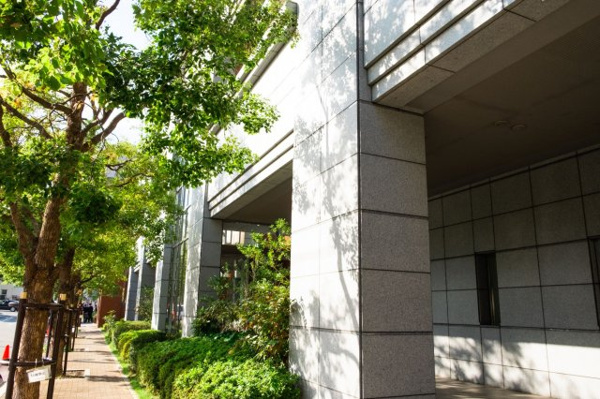 【周辺】 | 【周辺】マンション周辺の歩道もきれいに整備されています！気持ちの良い並木道！