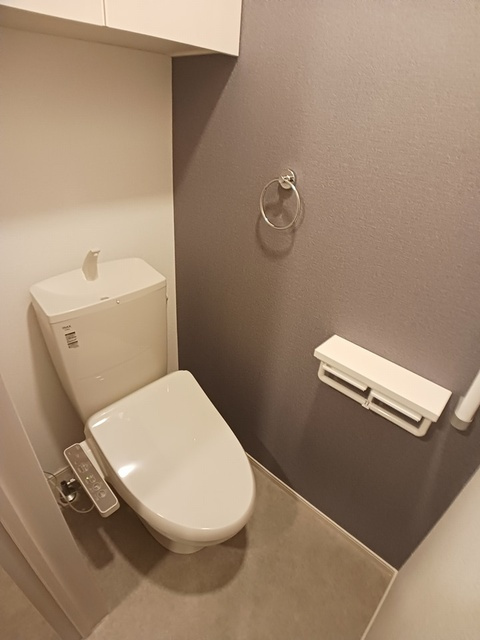 メゾン・レゾナンスⅢのトイレ