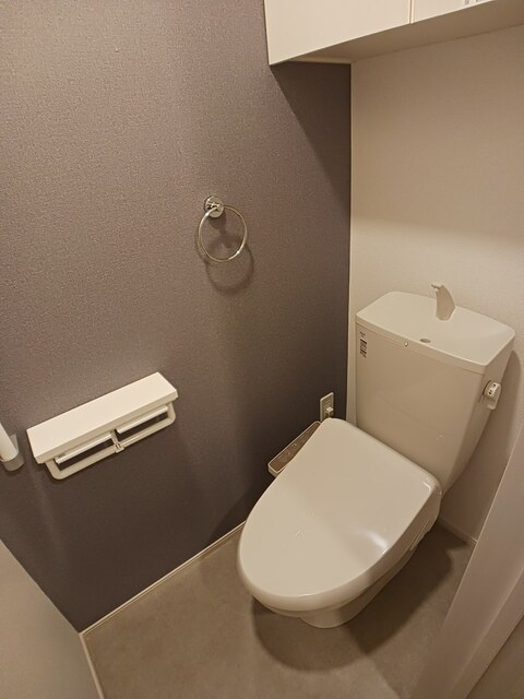 メゾン・レゾナンスⅢのトイレ