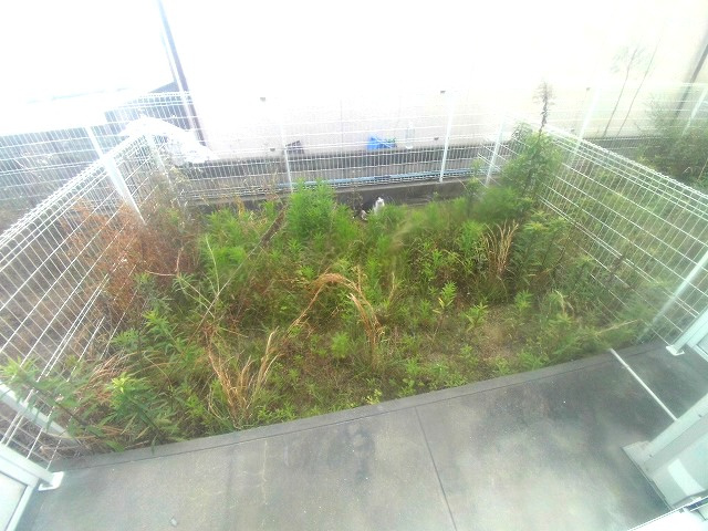 ルシャンデパンの庭