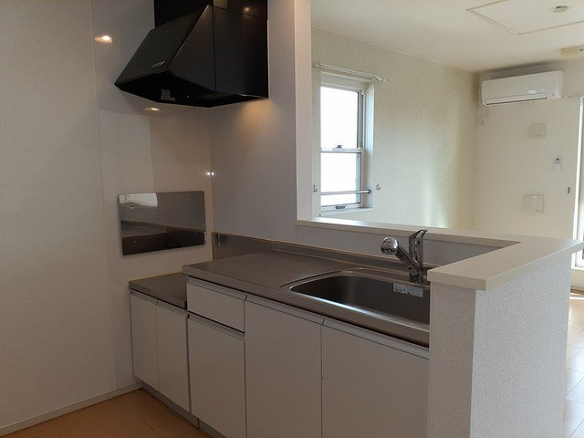 フラン・シェーネのキッチン