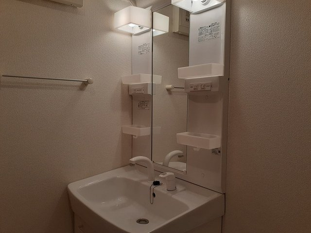 フラン・シェーネの洗面所