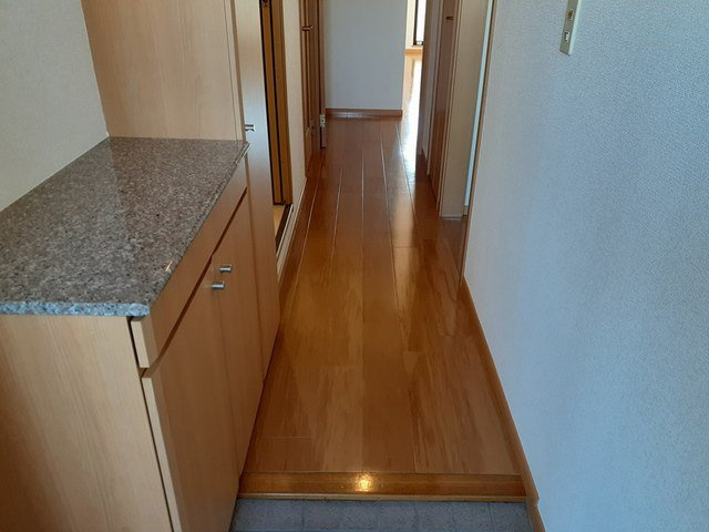 プラシード城東の玄関