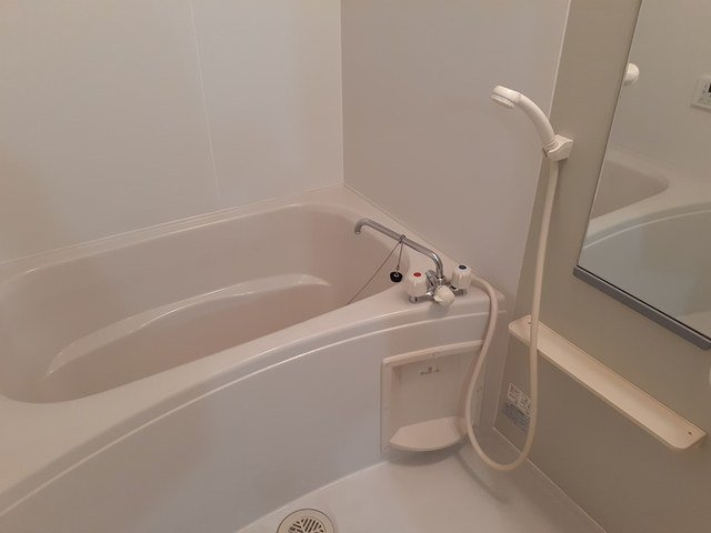 プラシード城東の浴室