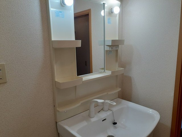 プラシード城東の洗面所