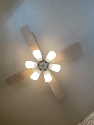 【その他】 | ロンデール