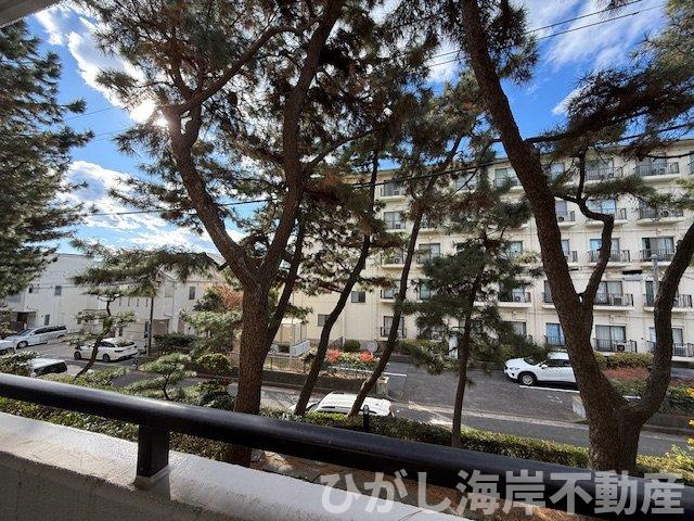 パレ平塚すみれ平壱番館の展望|バルコニーからの眺望