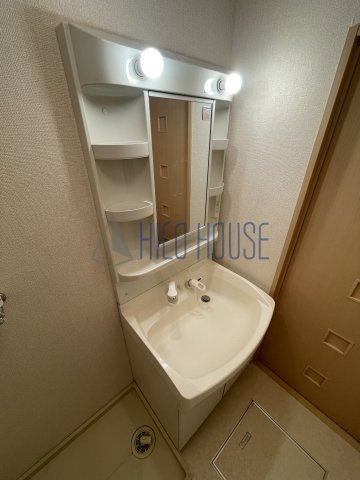 セードル小川Bの洗面所