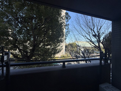 【展望】 | エヴァーグリーン