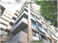 エヴァーグリーンの画像