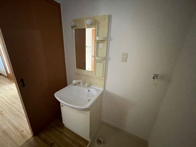 グレイス・サンハイム松本の洗面所