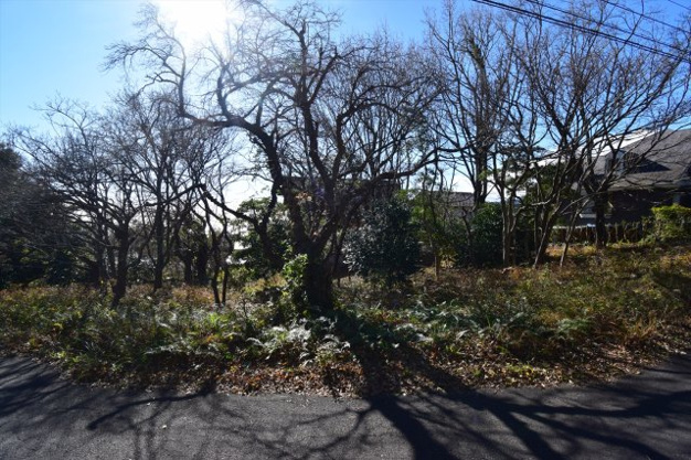 【外観】 | 大室高原別荘地　売地