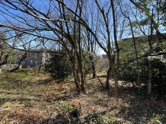 【外観】 | 大室高原別荘地　売地