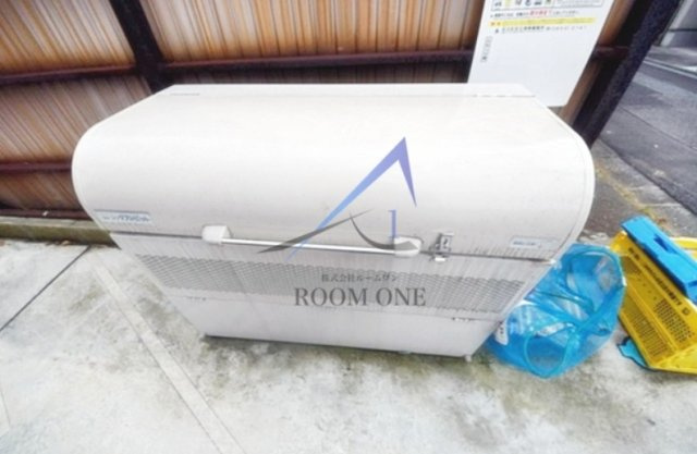 ＢＲＩＴＩＳＨ　ＰＬＵＭ