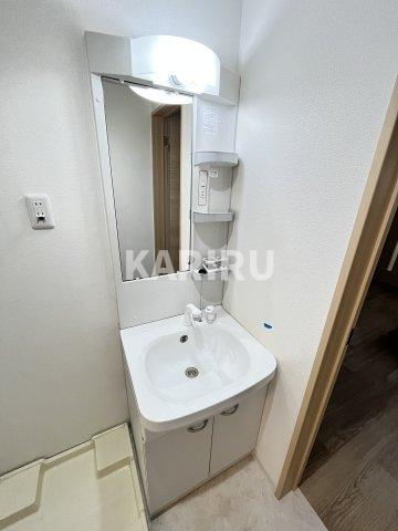 Mark Villa 放出の洗面所