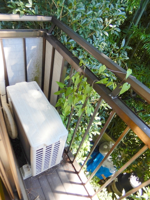 ラフォーレ・ドミのバルコニー