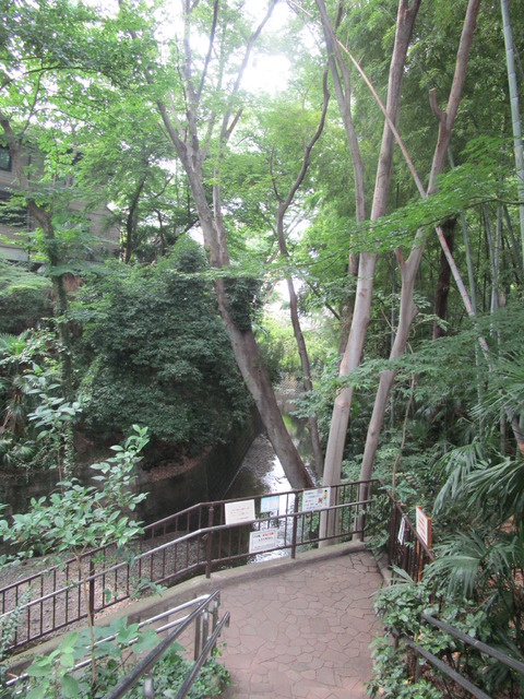 ラフォーレ・ドミのその他|等々力渓谷