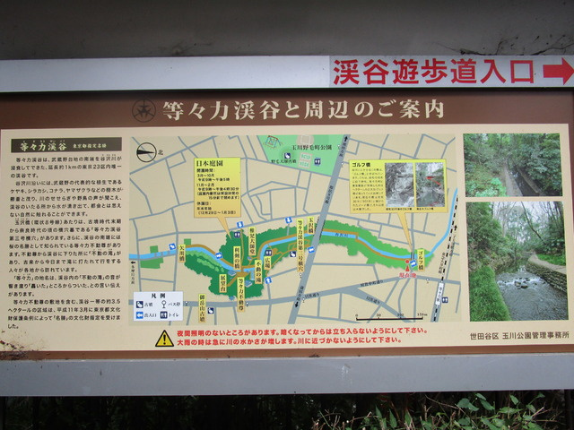 ラフォーレ・ドミのその他|等々力渓谷