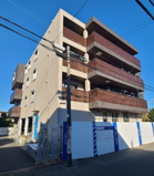 GERBERA（ガーベラ）の画像