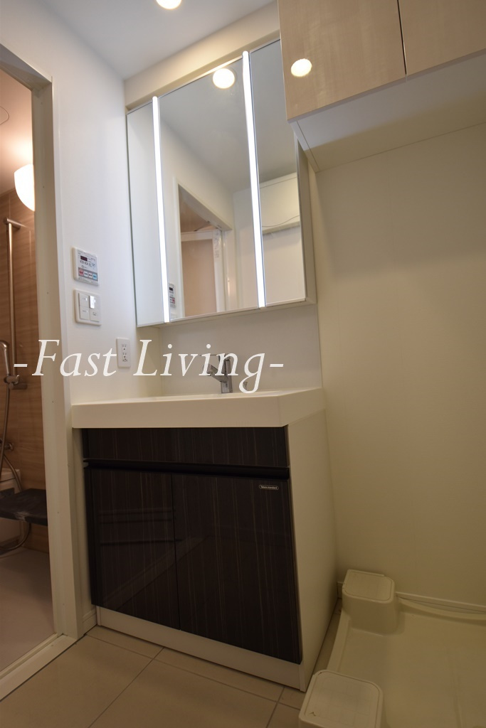 ドムス・スタイル神楽坂の独立洗面台