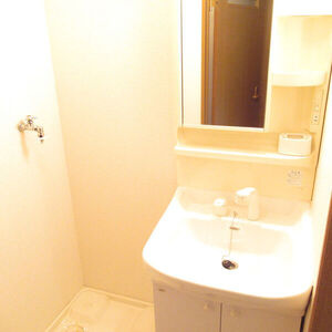 フォレスト釜ヶ洞の洗面所