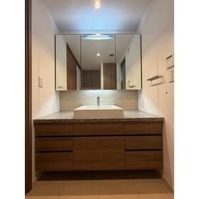 ウェリス高輪の洗面所