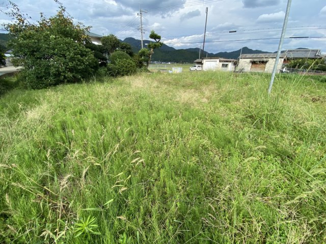 丹波市春日町野山の中古一戸建の外観|菜園スペース