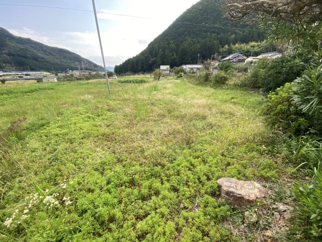 丹波市春日町野山の中古一戸建の外観|菜園スペース