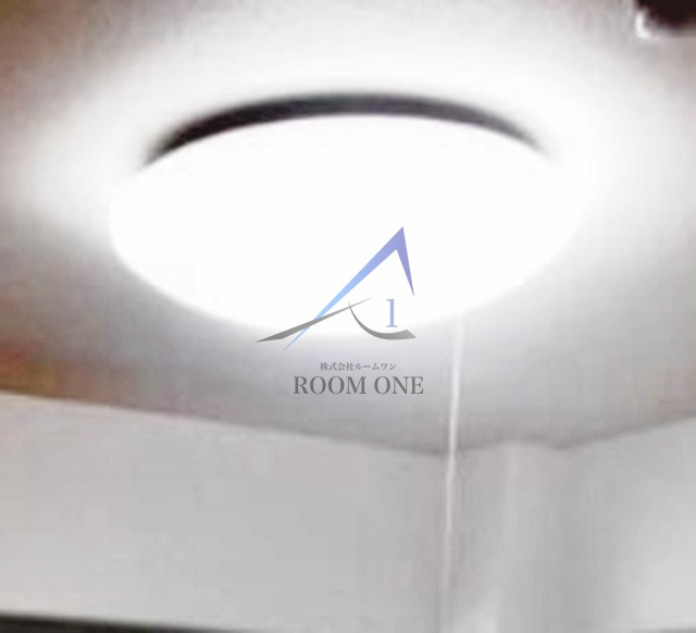 エヴァーグリーン