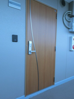 【玄関】 | ハピネスヒルズ | 玄関ドア（シャーロック）