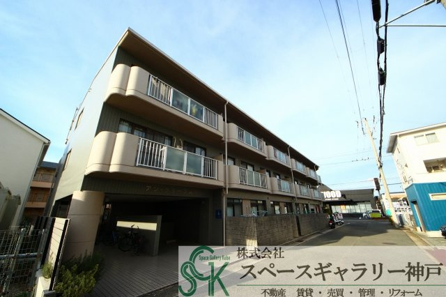 アングラーダム