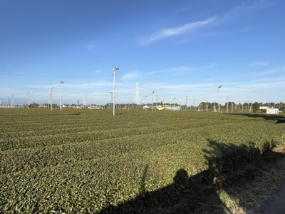 【展望】 | 牧之原市大寄　工場倉庫付き住宅 | 茶畑に囲まれのんびりとした雰囲気です