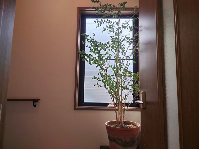 【内装】の画像