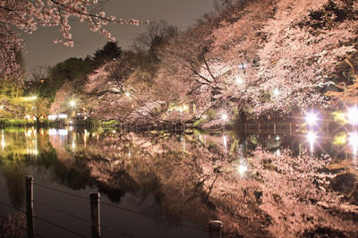 【周辺】 | Blossam Garden A