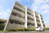 シャトレ秋桜の画像