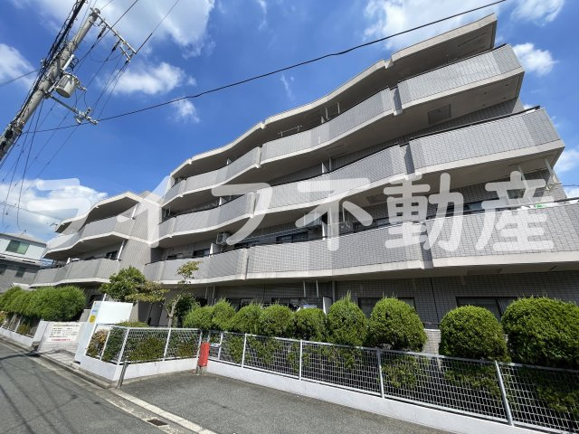 シロハイヌ小阪の外観|外観もきれいです