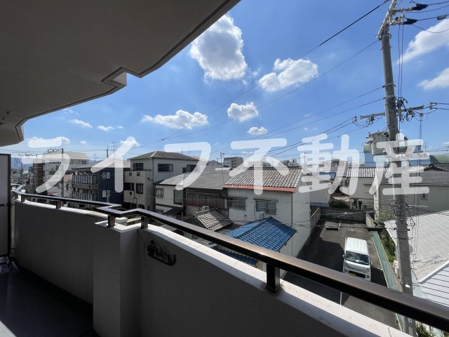 シロハイヌ小阪の展望