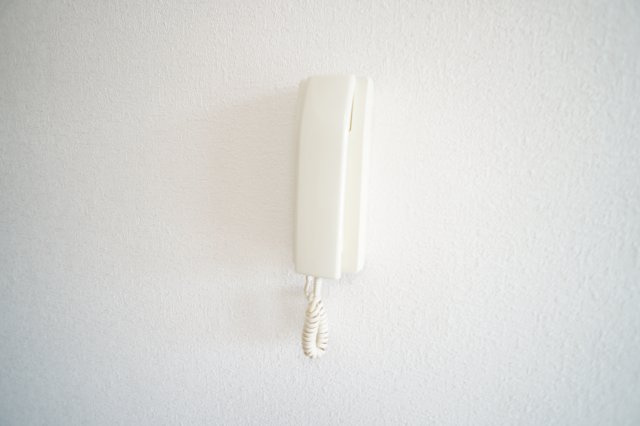 シティパレス富雄南のセキュリティ